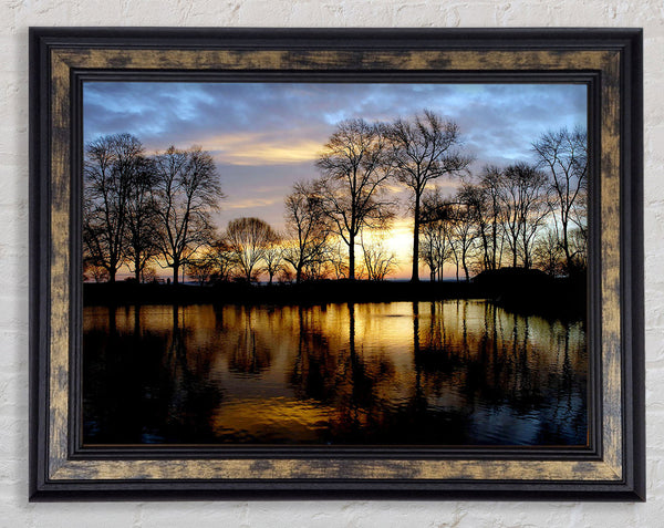 Woodland Lake At First Light