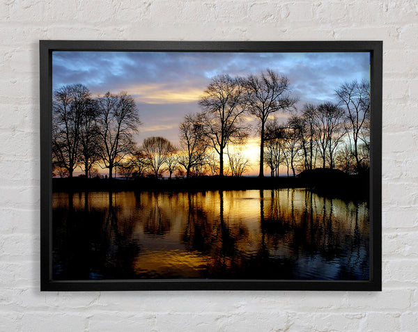 Woodland Lake At First Light