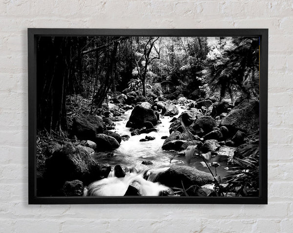 The Stream In The Woodland B n W