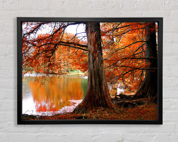 Orange Winter Lake Reflections