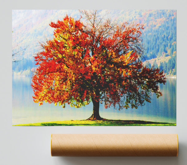 The Old Winter Tree In Autumn