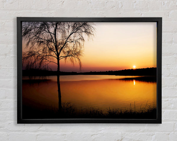 Peaceful Lake At Dawn