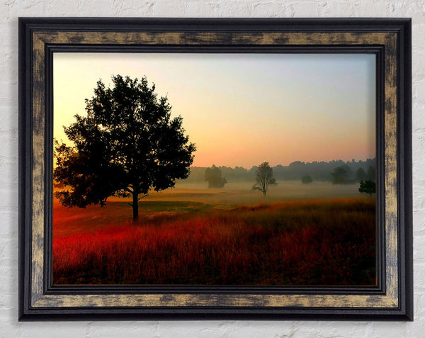 Autumn Sunrise Tree In The Mist