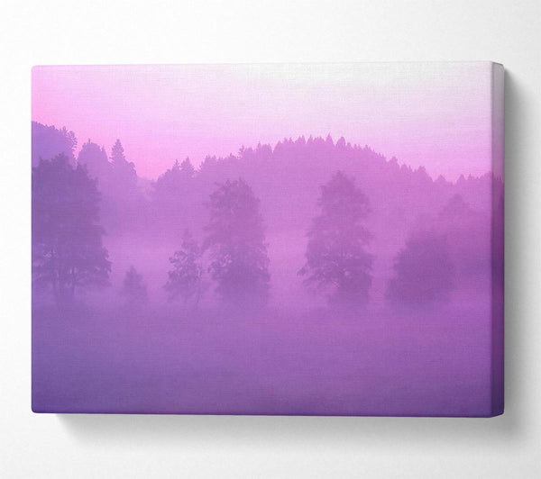 Lilac Forest Mist