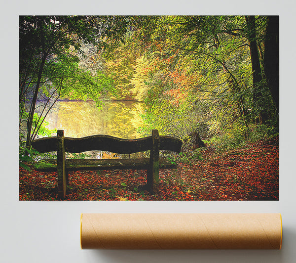 Empty Bench In Fall Scene