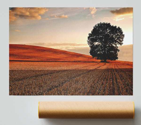 Lonesome Tree In The Field Autumn