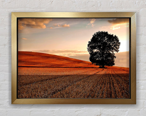 Lonesome Tree In The Field Autumn