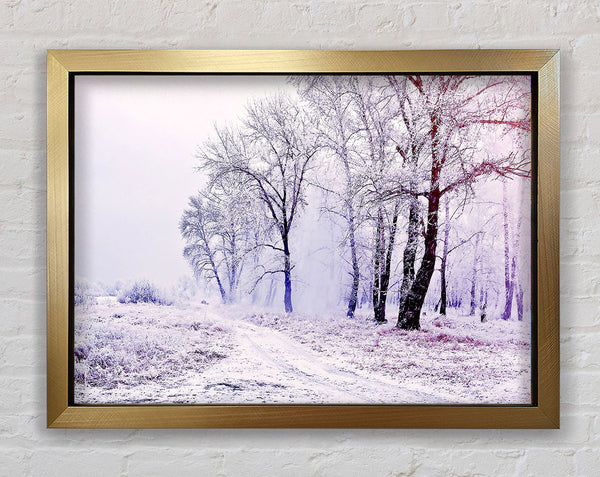 Beautiful Snowy Forest