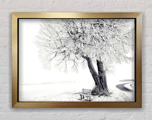 Bench Under Tree Winter