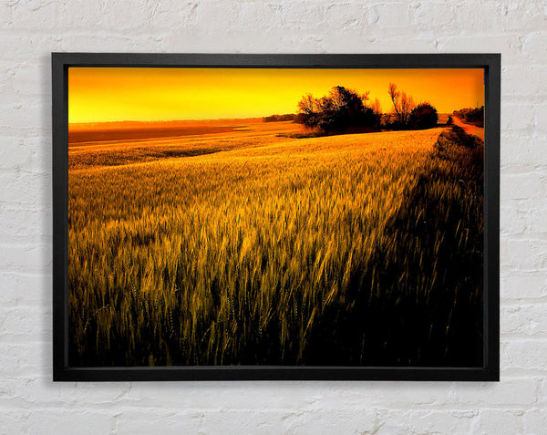 Sunset Over Wheat Field