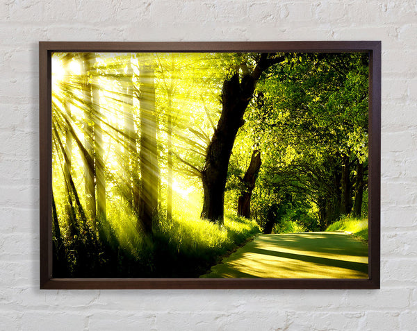 Green Nature Dual Monitor-Other