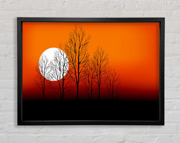 Orange Sunset Trees