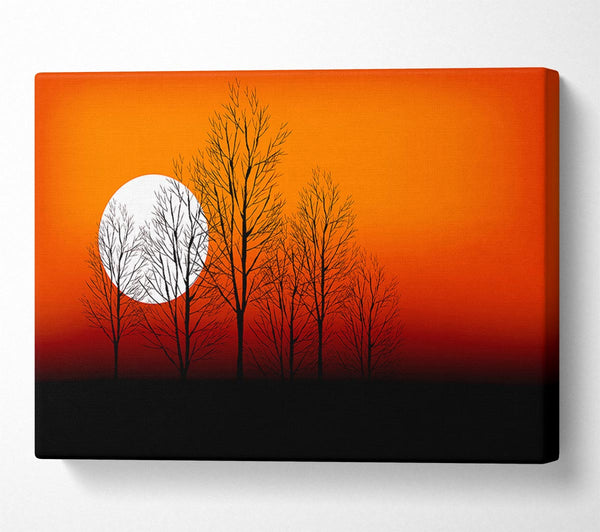 Orange Sunset Trees