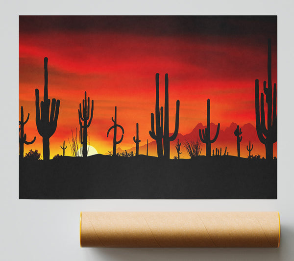 Cactus Sunset Beauty