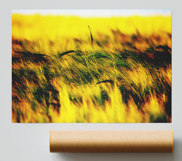 Wheatfield Yellow