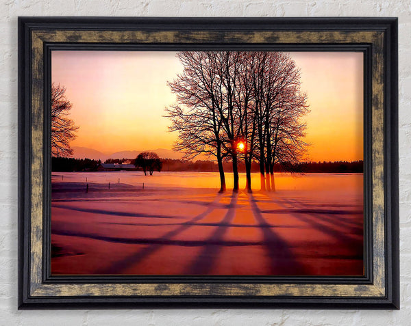 Winter Tree Sunrise Pinks