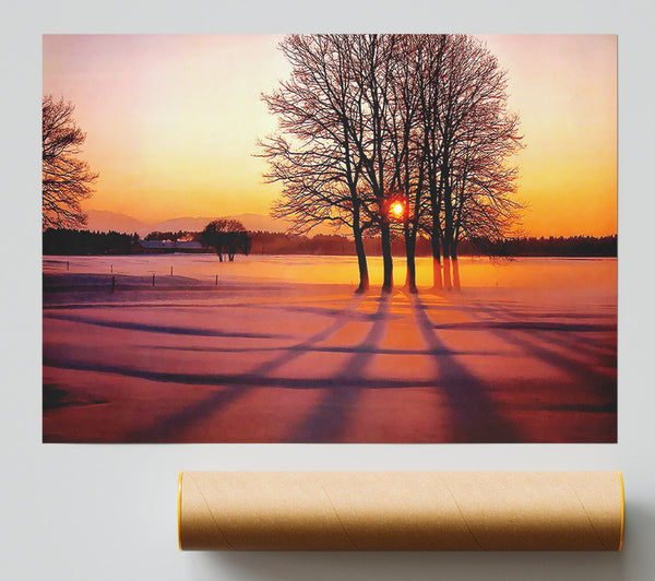 Winter Tree Sunrise Pinks