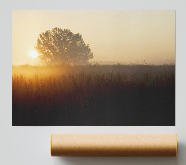 Yorkshire Dales Sunset Mist