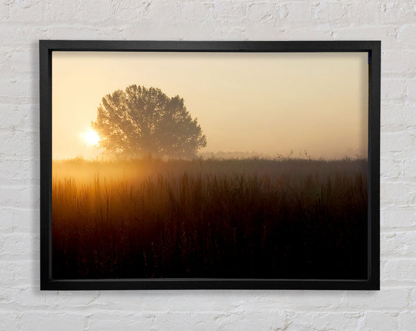 Yorkshire Dales Sunset Mist