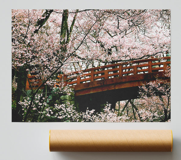 Cherry Blossom Bridge