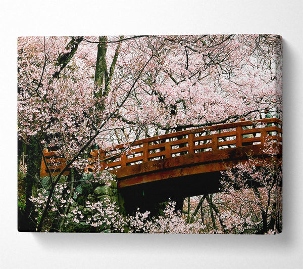 Cherry Blossom Bridge