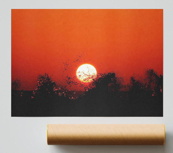 Red Sun Delight