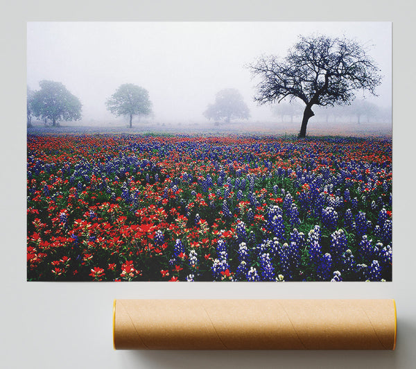 Field Of Flowers In The Morning Mist