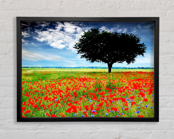 Poppy Field Tree