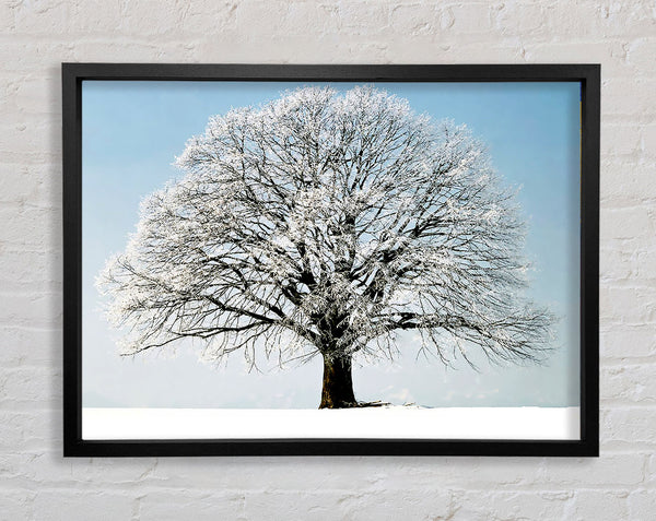 Snow Tree