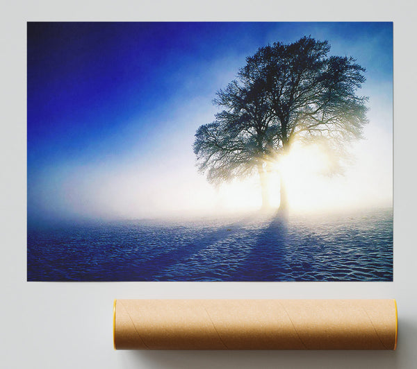 Misty Tree At Sunrise