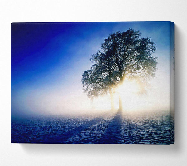 Misty Tree At Sunrise