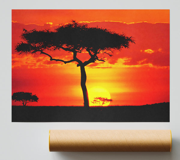 Glowing Orange African Tree