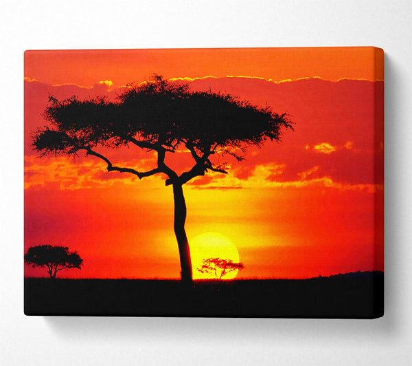 Glowing Orange African Tree