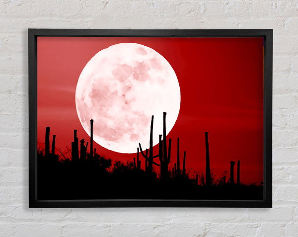 Red Cactus Moon