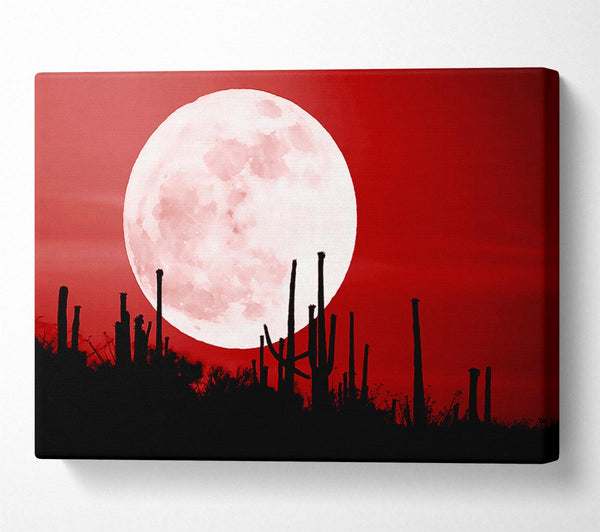 Red Cactus Moon