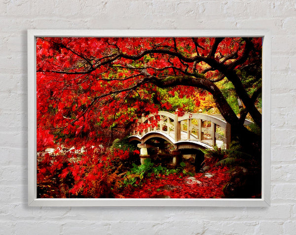 Bridge Over The Red Tree River