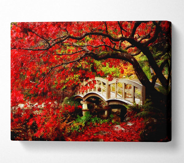 Bridge Over The Red Tree River