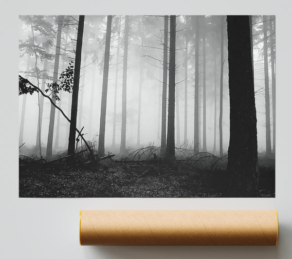 Black N White Woodland Mist