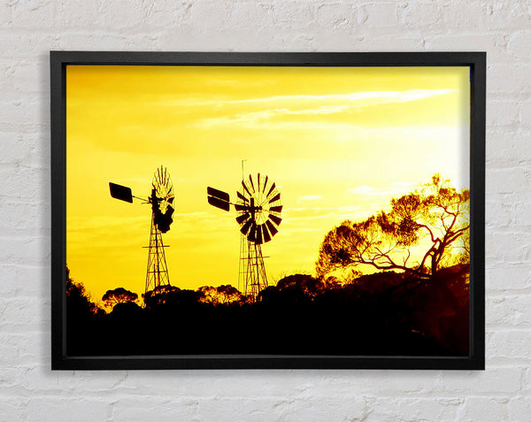 Windmills In Sunlight