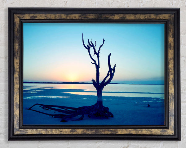 Blue Ocean Driftwood