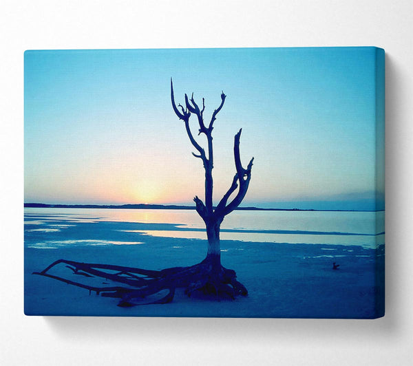 Blue Ocean Driftwood