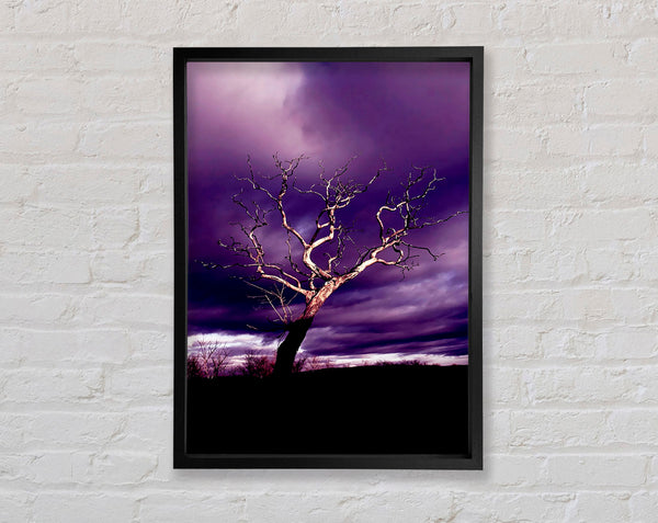 Stunning Purple Night Tree