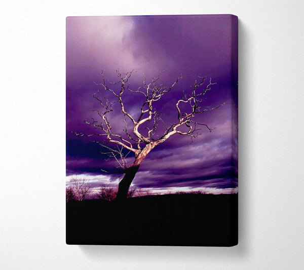 Stunning Purple Night Tree