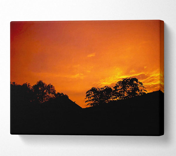 Orange Skys Over Forest