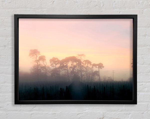 Yorkshire Dales Mist