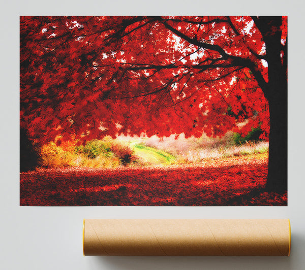 Red Autumn Tree