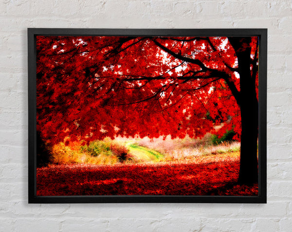 Red Autumn Tree