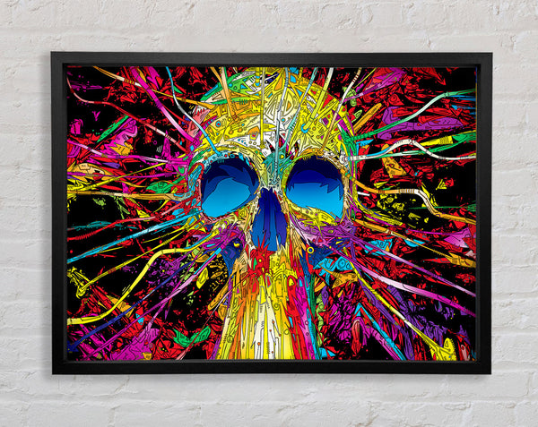 Skulls Colorful