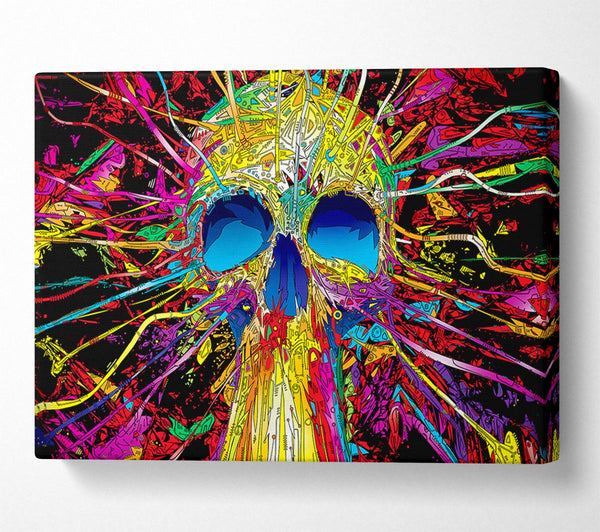 Skulls Colorful