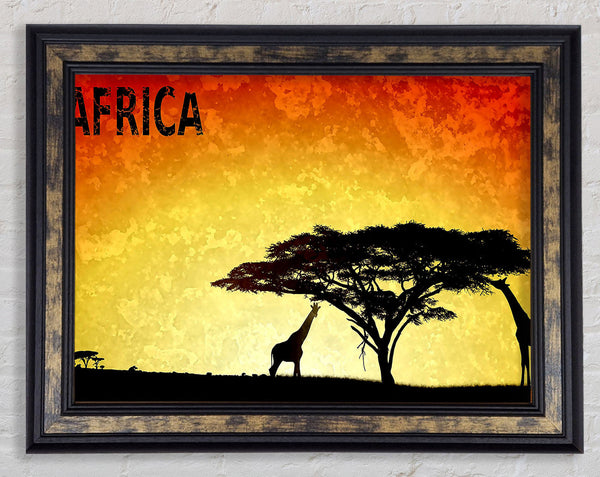 Africa